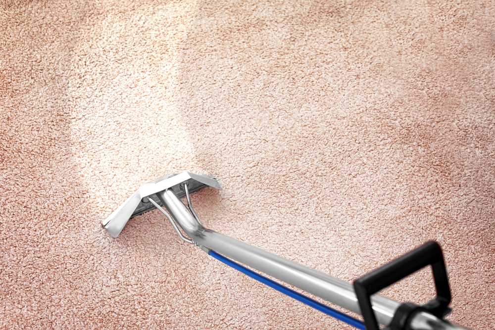 Carpet Steam Clean - Carpet Cleaning in Rockhampton, QLD