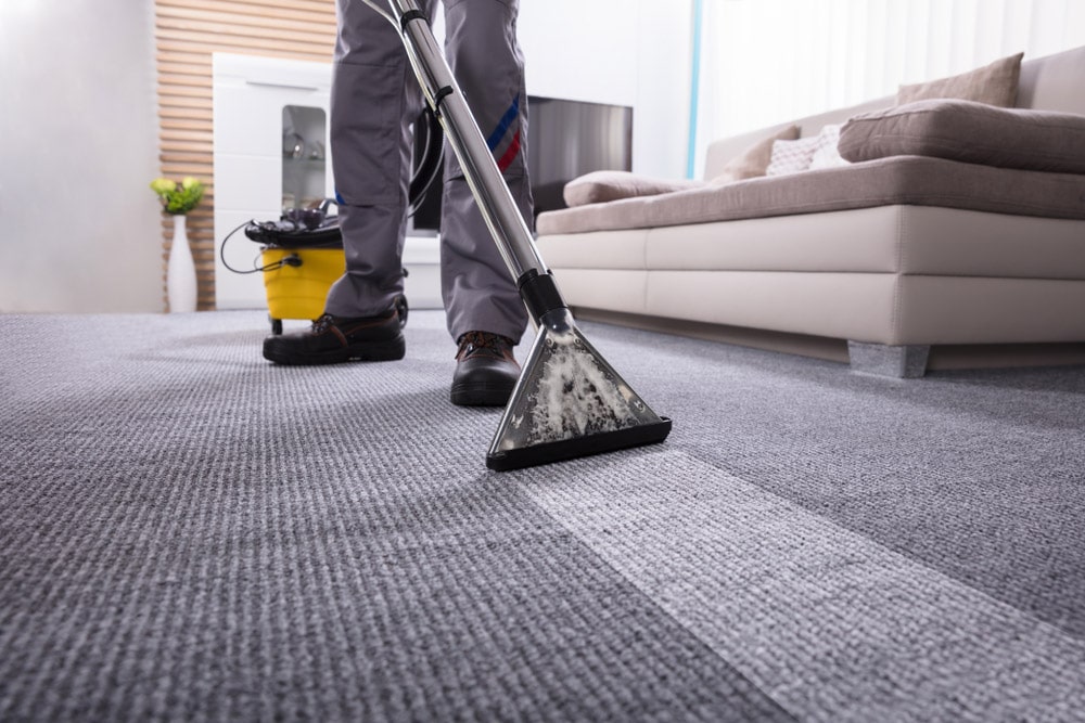 Vacuum Cleaning in Living Room - Carpet Cleaning in Rockhampton, QLD