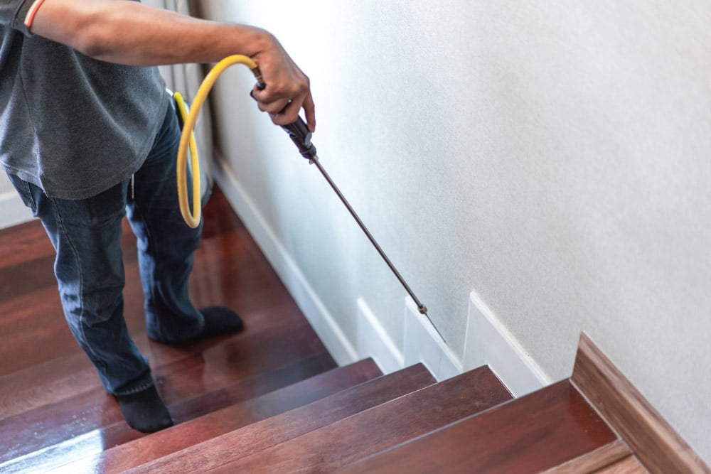 Spraying Chemical on Stairs - Carpet Cleaning in Rockhampton, QLD
