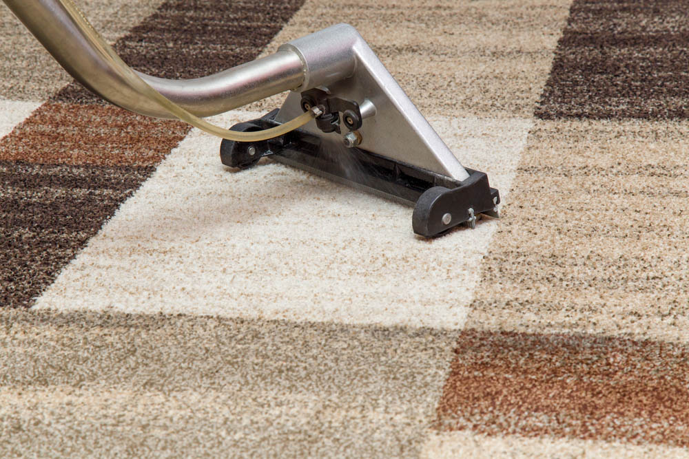 Carpet Cleaning Extraction Method - Carpet Cleaning in Rockhampton, QLD